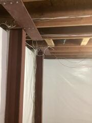 Bright and Beautiful Walls