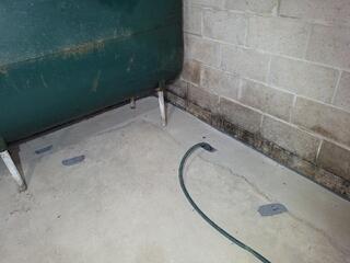 Flushing the WaterGuard System