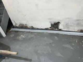 WaterGuard Installation