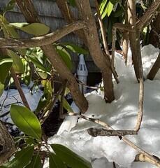 IceGuard Discharge Line System