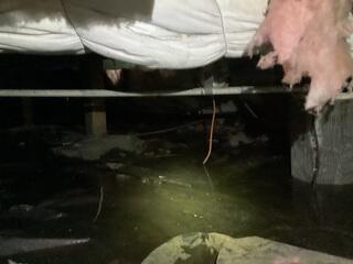 Standing Water In Crawl Space