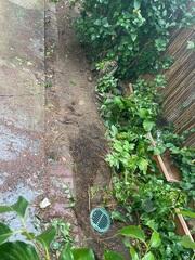 Buried Discharge
