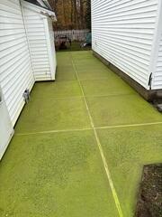 Concrete and Joint Sealant