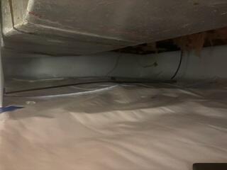 Crawlspace Waterproofing in Mahomet, IL