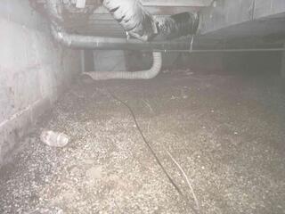 Unprotected Crawl Space Before Work Began