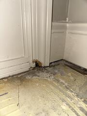 Water Damaged Door Frame Repair