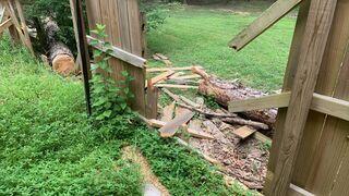 Fallen Tree Insurance Claim Repair