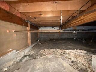 Dirty, Moldy Crawl Space