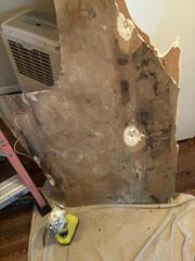 No Choice - Tear it Out