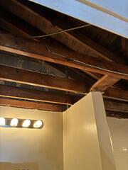 Strong Mold Stain Remover