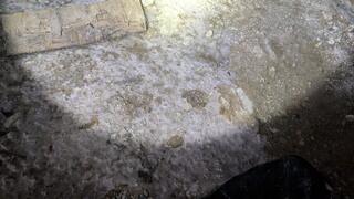 For the Grand Finale