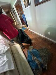 Wet Carpet Removal and Structural Drying