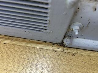 In the Corner of the Room