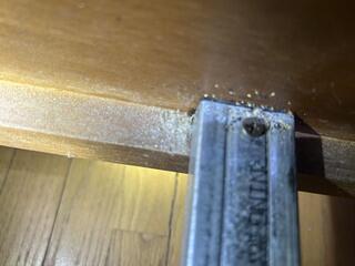 Bed Bugs Under the Bed