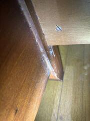 Come Back Until They're Gone