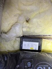 Lots of Mice Tunnels