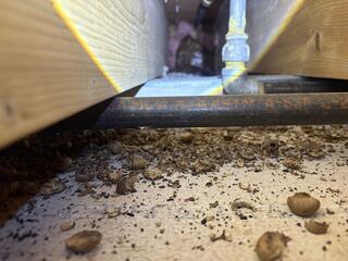 Bringing Their Food Up