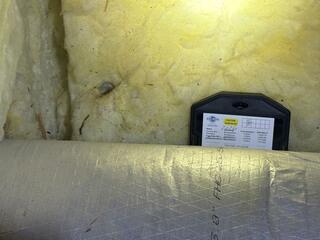 Setting Up Rodent Bait Stations