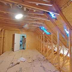 Fallen Tree Damage and Roof Repair