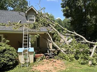 Fallen Tree and Storm Damage Roof Repair