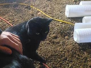 Crawl Space Repair in Tipp City, OH