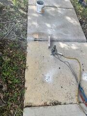 PolyLevel Injections