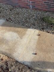 DIY Results Won't Last