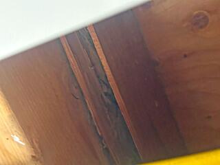 Termites Share The Treatments