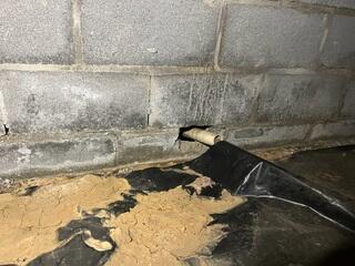 Efflorescence and Pooling Water