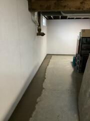 Bright and Beautiful Basement Walls