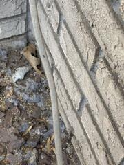 Sharing the Treatments