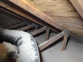 Fiberglass OUT, TruSoft Cellulose IN