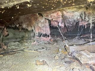 Yikes! Nasty Crawl Space