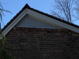 Guards the Gable Vents
