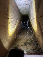 Termites & Their Mud Tubes Found in the Basement in Neshanic Station, NJ