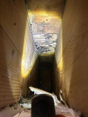 Spreads Fast Throughout the Colony