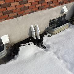 Installing the IceGuard System