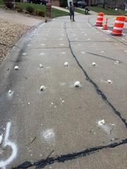 Concrete Driveway Repair & Leveling
