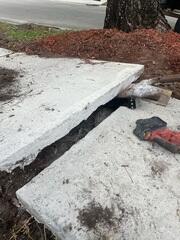 Removing Tree Root Beneath Sidewalk