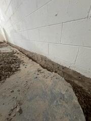 Drainage System Installation