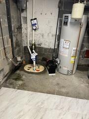 TripleSafe Sump Pump