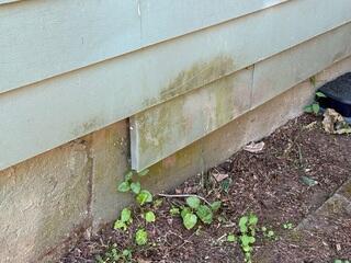 Exterior Siding Detaching From Wall