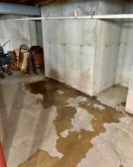 Water Seepage Issues Tackled in a Williamsville, NY Basement