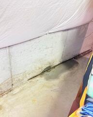 Water Making Its Way In