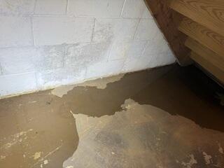 Efflorescence on the Walls from Moisture