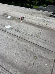 Staring the Roof Repair