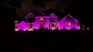 A Pop of Color for Every Mood