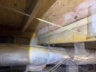 Mold on Floor Joists