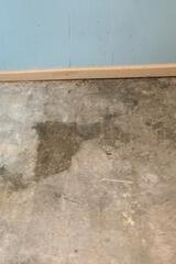 Basement Waterproofing in Bells, TN