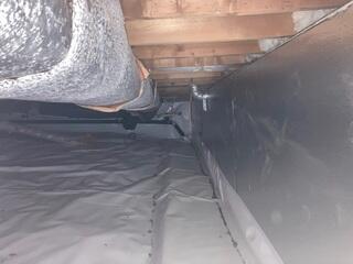 Crawl Space After